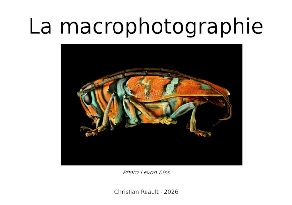 illustration